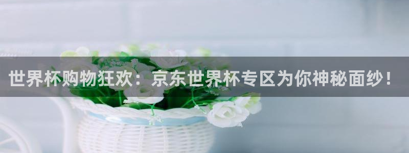 世界杯赛程表:世界杯购物狂欢:京东世界杯专区为你神秘面纱!