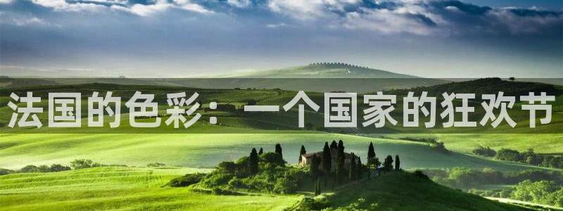 世界杯预选赛欧洲:法国的色彩:一个国家的狂欢节