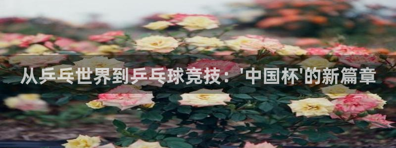 世界杯亚洲区预选赛赛程:从乒乓世界到乒乓球竞技:\'中国杯\'的新篇章