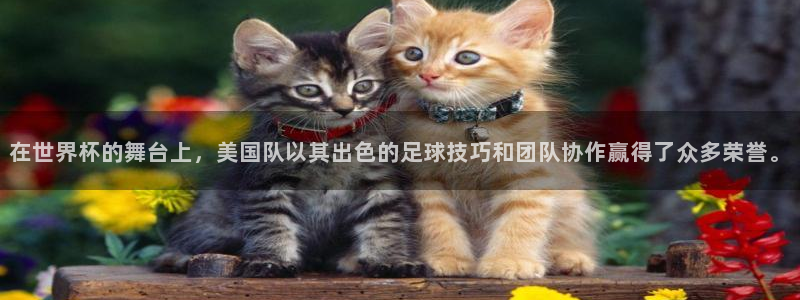 世界杯对阵表:在世界杯的舞台上,美国队以其出色的足球技巧和团队协作赢得了众多荣誉。