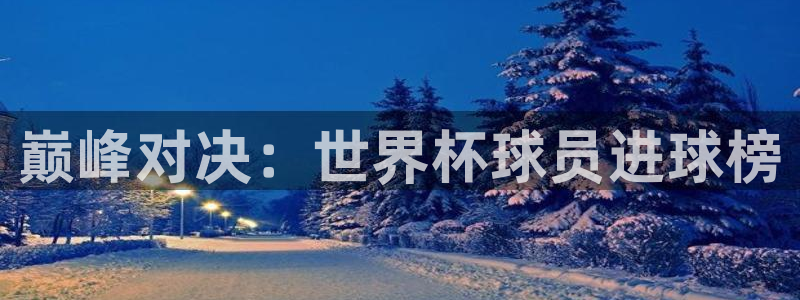 世界杯预选赛亚洲:巅峰对决:世界杯球员进球榜