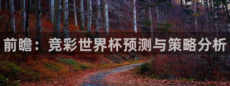 世界杯欧洲区预选赛:前瞻:竞彩世界杯预测与策略分析
