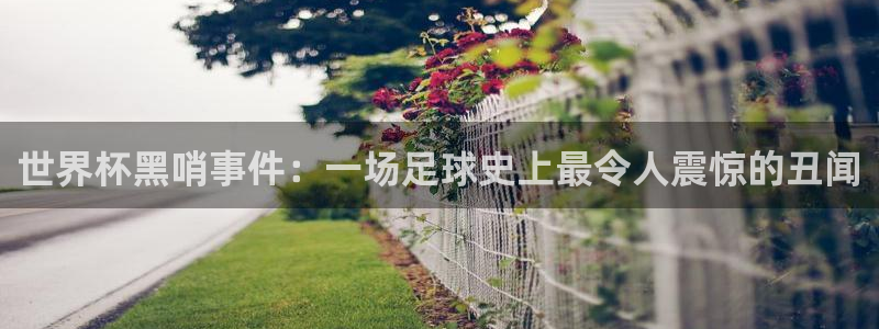 世界杯16强赛程表:世界杯黑哨事件:一场足球史上最令人震惊的丑闻