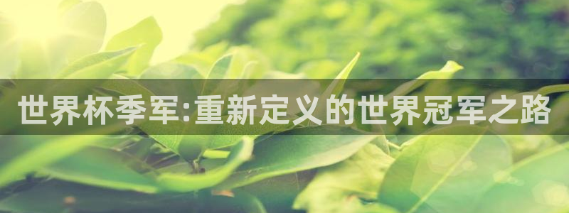 世界杯足球比赛:世界杯季军:重新定义的世界冠军之路