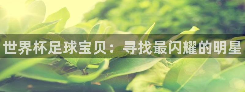 2026世界杯赛制:世界杯足球宝贝:寻找最闪耀的明星